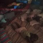 Sleeping materials needed (beds, blankets mattresses)